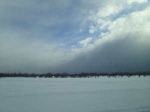 Chasing the snow front.